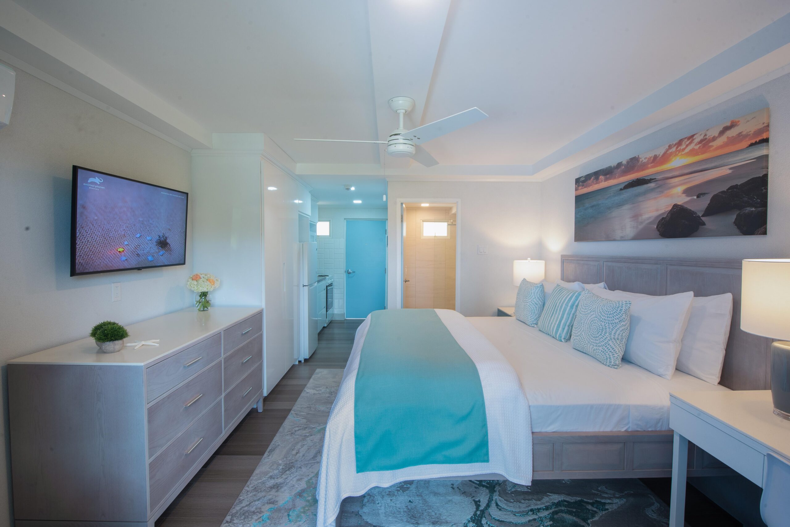 blue haven apartments st lawrence gap dover investment tourism short term rental tourist air bnb onyx real estate boutique hotel