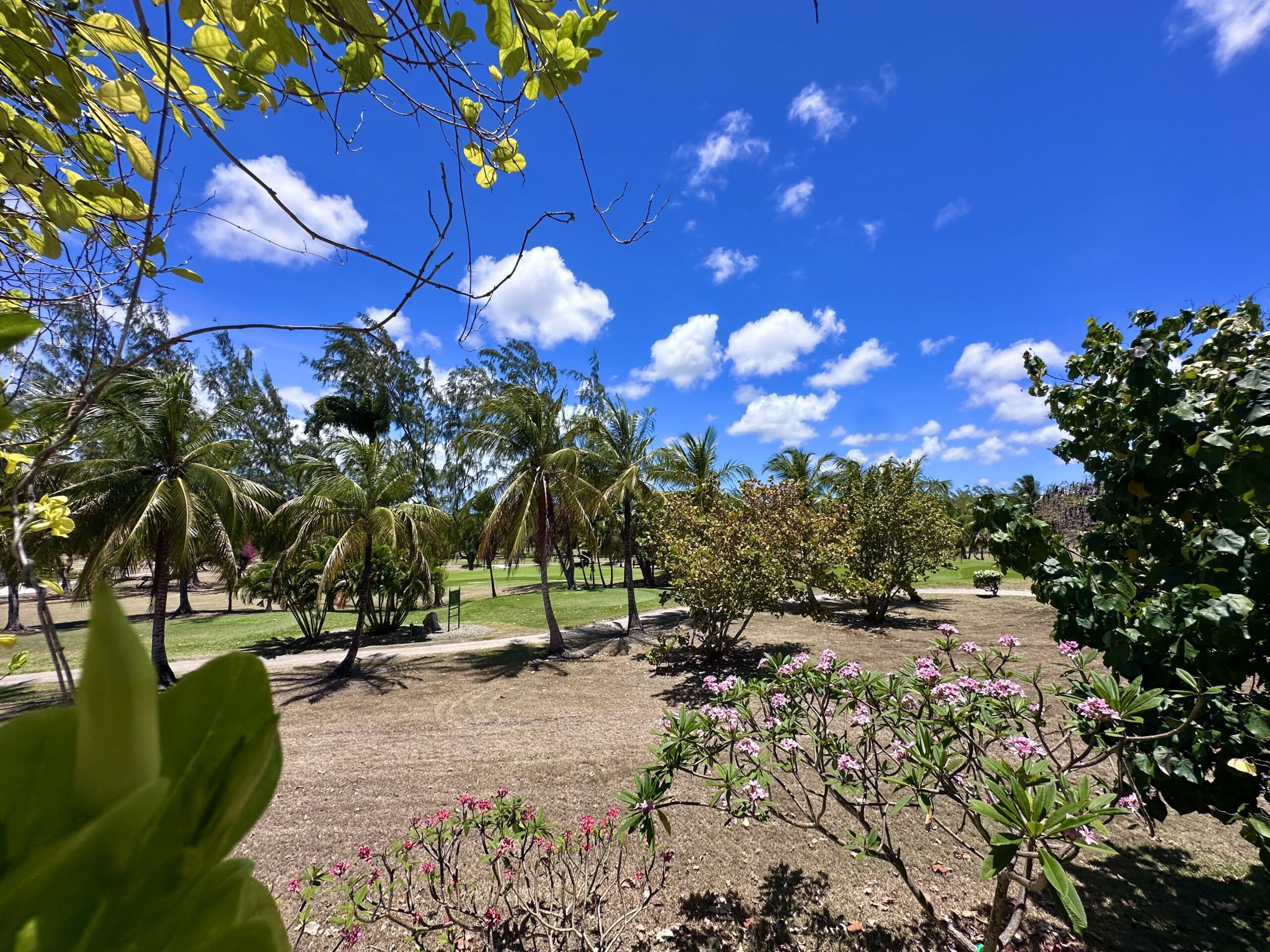 tisbliss real estate golf course durants golf christ church investment onyx real estate income generator investment airbnb rental single storey storage barbados bridgetown land residential